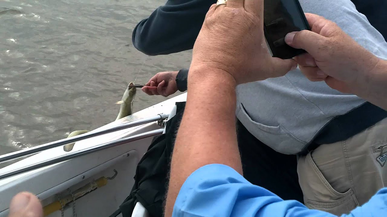 bass fishin may 2011 mike's boat 2 YouTube