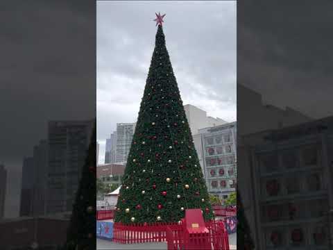 Vidéo: Union Square de San Francisco à Noël : visite photo