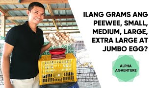Ilang Grams Ang Peewee, Small, Medium, Large, Extra Large At Jumbo Egg