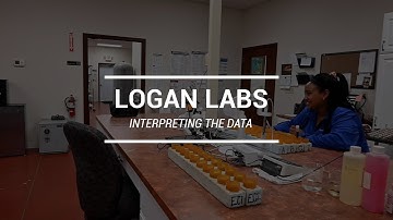 Next Steps - How to Interpret Your Data and Make Changes