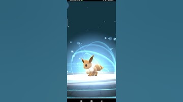 EVOLVING EEVEE TO GLACEON NEW NAME TRICK