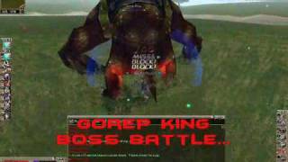 RYL NEVERWINTER BOSS BATTLE