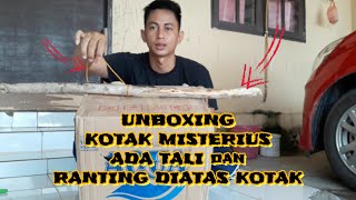 UNBOXING BURUNG HANTU... || TYTO ALBA || BARN OWL