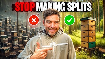 Stop Making Splits! Do THIS To Make More HONEY!