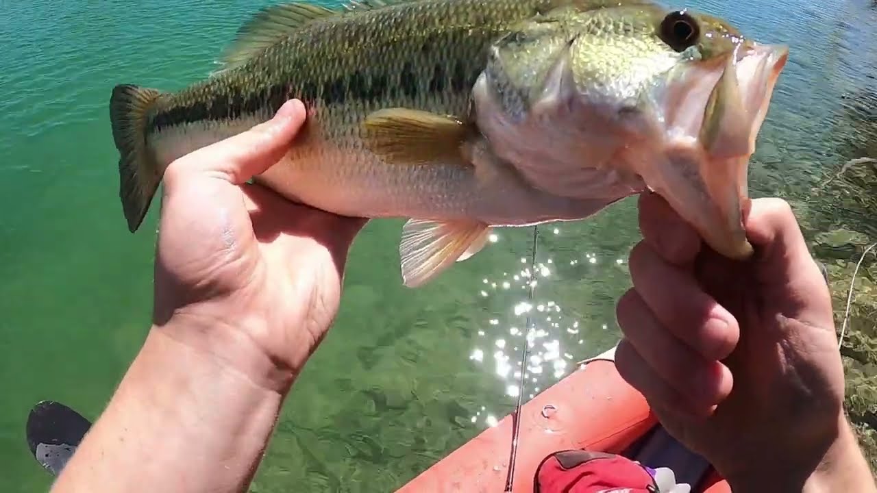 Fun day of kayak bass fishing in a desert lake