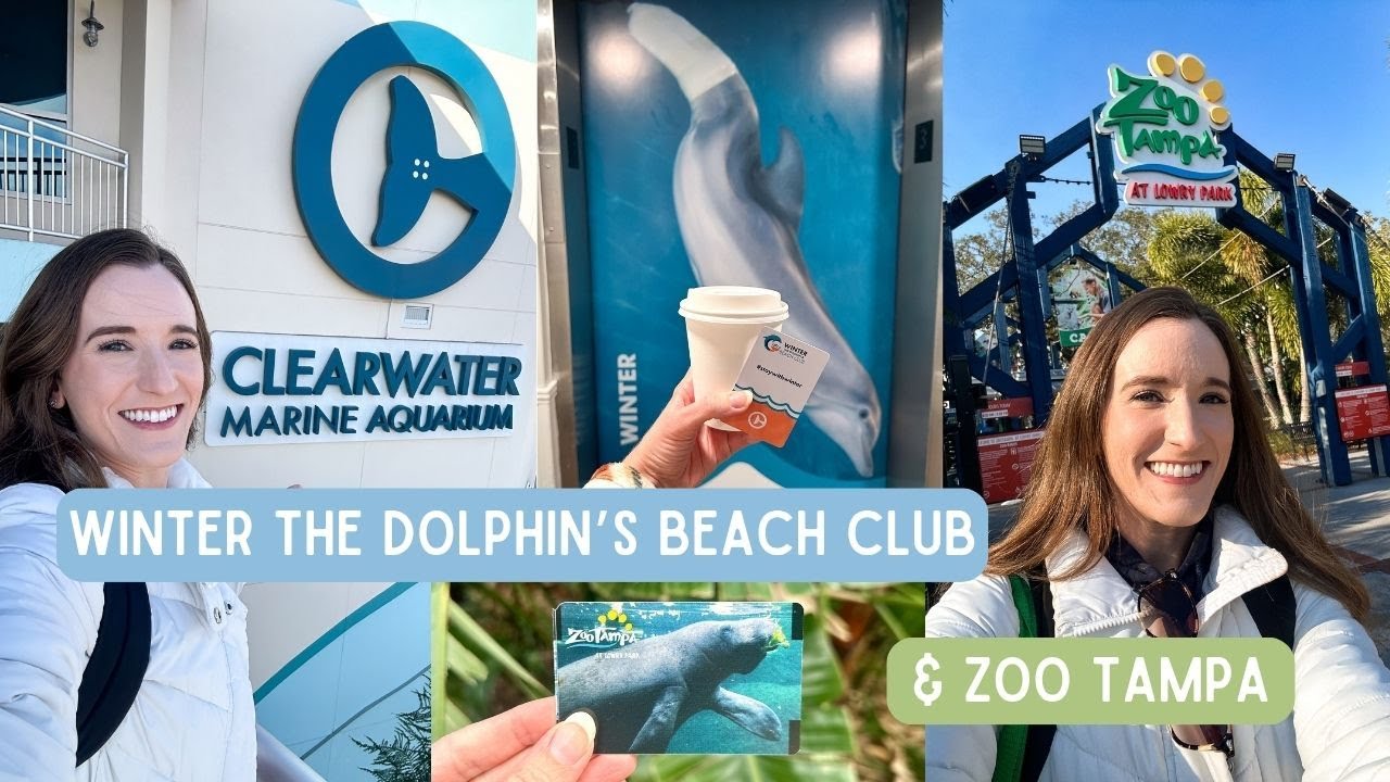 Staying at Winter the Dolphin's Beach Club, Visiting Clearwater Marine Aquarium & Zoo Tampa