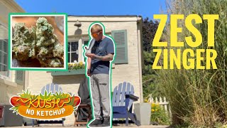 Zest Zinger Strain Review (Binske) | KUSH NO KETCHUP