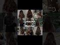 انا شعري ويفي قصير وانتو Rap Kpop Song بتس نامجون جين يونقي جيهوب جيمين تاي جونغكوك ارميز انا شعري ويفي قصير وانتو Rap Kpop Song بتس نامجون جين يونقي جيهوب جيمين تاي جونغكوك ارميز