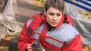Помоги найти «Дорогу домой» Помоги найти «Дорогу домой»