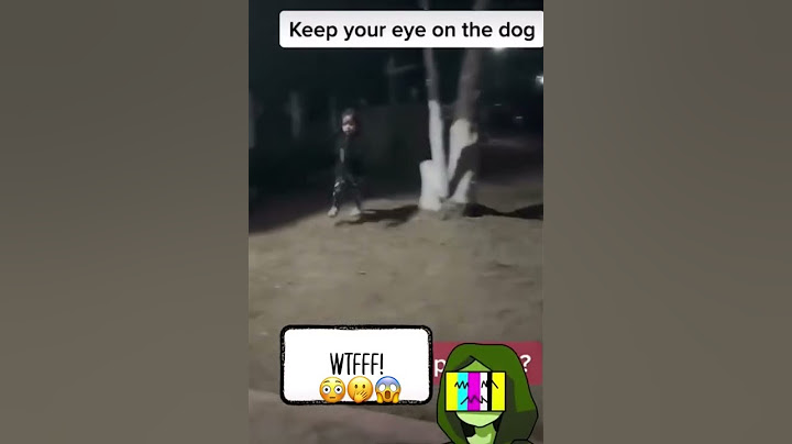 Caught On Camera…Omg That’s A Paranormal Ghost Dog‼️ 🤭😱😳
