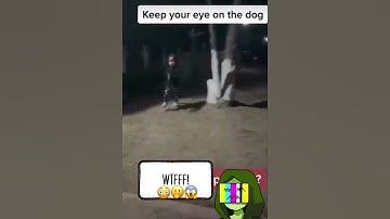 Caught On Camera…Omg That’s A Paranormal Ghost Dog‼️ 🤭😱😳