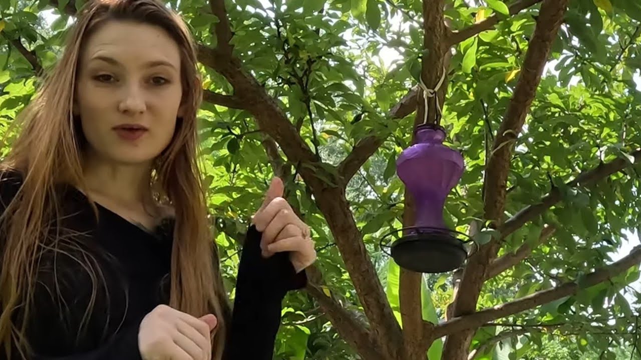 Let's Harvest Herbs and set up my new Hummingbird Feeder | GreteGotye.com