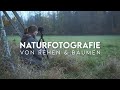 Naturfotografie am Morgen | Rehe und Bäume mit dem Fujinon XF 100-400mm