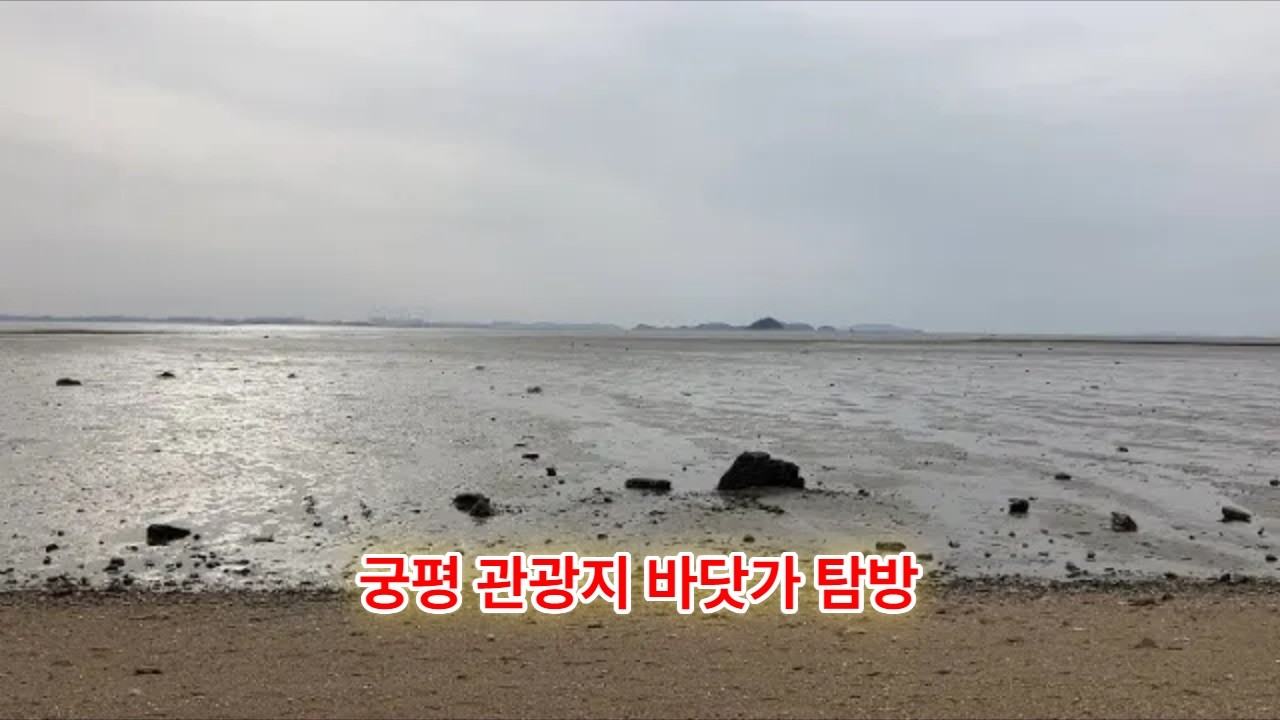 궁평관광지 바닷가 탐방 (화성시 서신면 궁평리)
