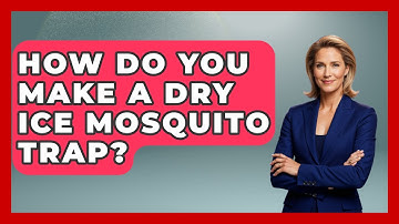 How Do You Make A Dry Ice Mosquito Trap? - Insects and Invaders