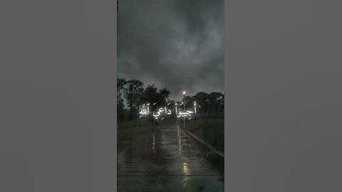 قران كريم بصوت جميل ماتيسر من سورة الأحقاف