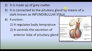 Control and co-ordination chapter PDF notes biology 12 th class notes