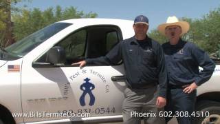 Termite Inspection Phoenix Arizona