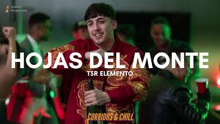 T3R Elemento - Hojas Del Monte | Corridos 2021 🔥