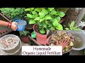 Homemade Organic Liquid Fertilizer (Nepali)