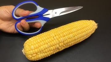 Remove Corn Kernels In Just 1 Minute. Grandma Taught Me This Trick!