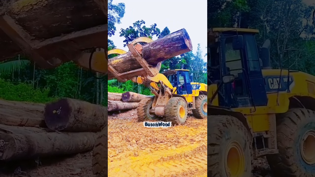 Pamer Skill Muat Kayu Log Merbau 