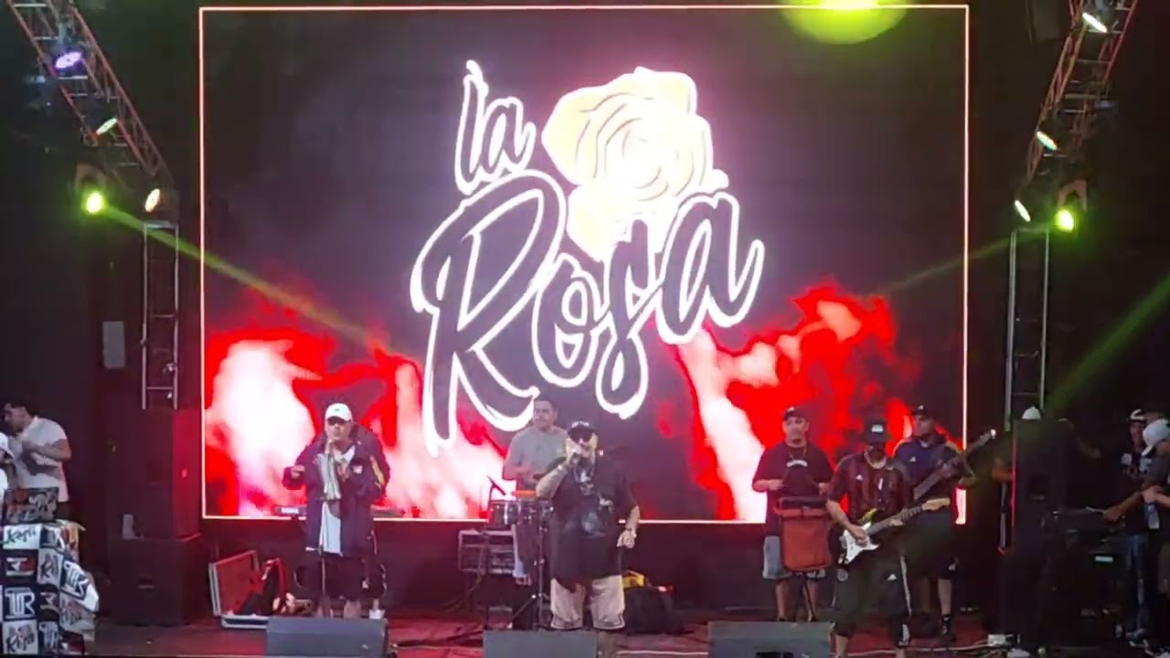 CARTUCHO Y SU SONIDO BASICO