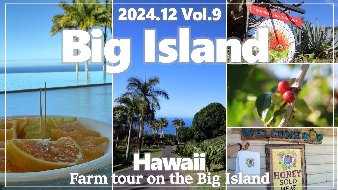 【ハワイ島】フルーツ食べ放題！自然あふれる農園で試食・試飲を楽しみます【2024年12月】#9