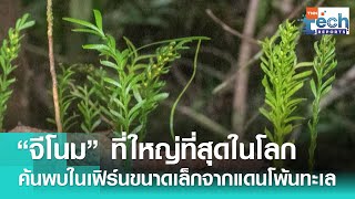 พบ “จีโนม” ใหญ่ที่สุดในโลก! จากดินแดนโพ้นทะเล นิวแคลิโดเนีย  | TNN Tech Reports