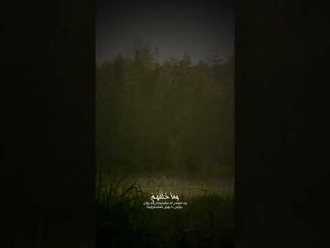 عبدالله موسى آية الكرسي