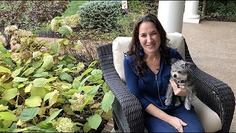 Meet Author Julie Osborne