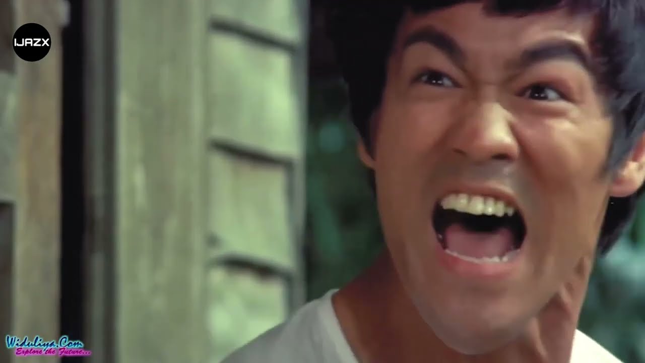 Bruce Lee   Saamy song Mashup