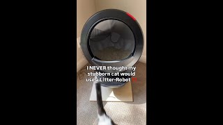 Litter-Robot for the Picky Kitties