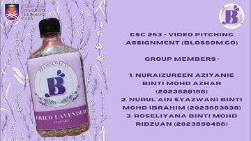 CSC 253 - VIDEO PITCHING ASSIGNMENT (BLOSSOM.CO)