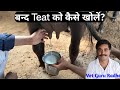 Teat blockage in cattle  teat obstacle  vet guru radhe