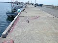 2011年5月9日。北茨城市の大津港。