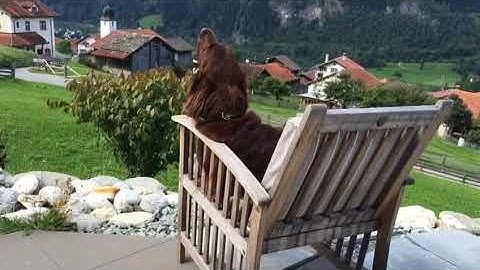 a0fdf9dc 8f19 4a47 8cdd 23f7876be4ff