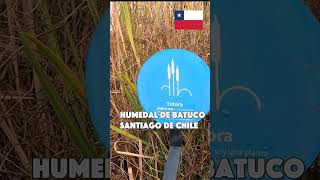 Recorriendo el Humedal de Batuco en Santiago de Chile 🇨🇱