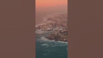 القارئ سعد الغامدي