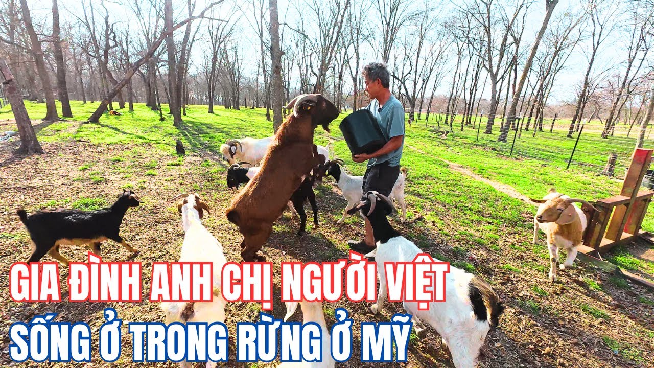 Супруги покинули город и переехали в леса Америки, чтобы заниматься сельским хозяйством и разведе...