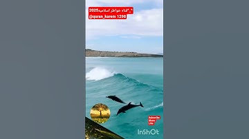 #قناه #محتوي_ديني #حصن_نفسك#سوره الناس #المصحف #الرحمن #اكسبلور #راحه #لايك #قراءن #خواطر #الدال