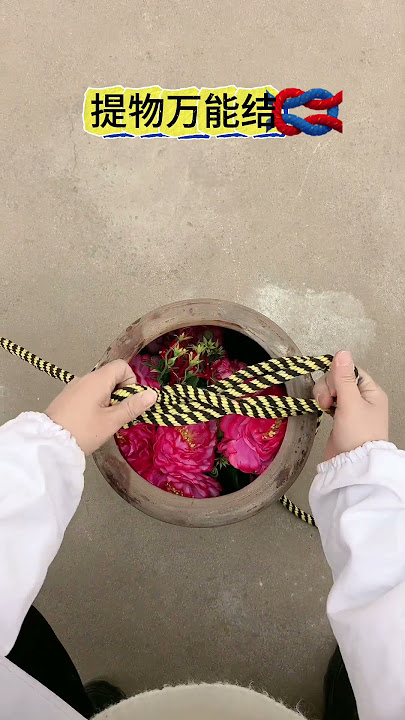 7472598468431711539.mp4