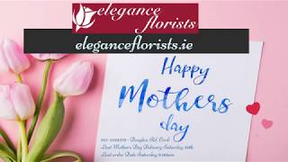 Mothers Day Flowers - Elegance Florists Cork
