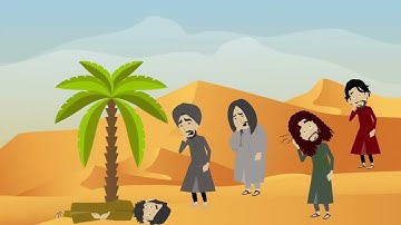 سورة الملك من ١٩-٢٤