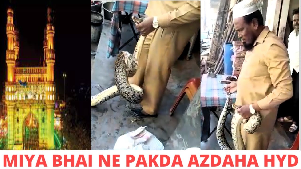 #breakingnews Rajendra Nagar Elaqa Meh Azdaha(Anaconda Snake) Ki ...