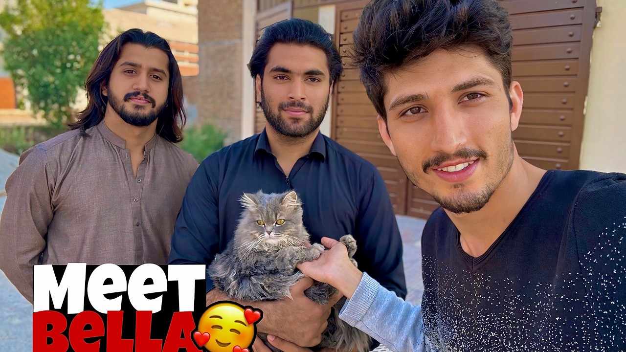 Ali Shah ky Pass cat hy 😇 | khuram ko block kr dia 😅