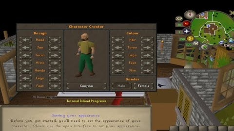 A RuneScape tutorial island experience