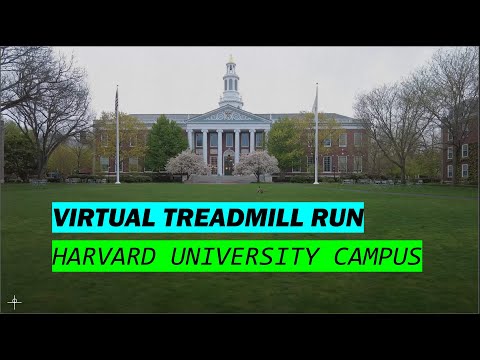 A Tour Of Harvard Business School HBS And Harvard University Virtual Treadmill Running