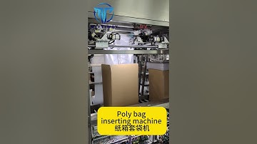 bag insertion machine,poly bag inserting machine,food packaging line coffee powder packaging machine