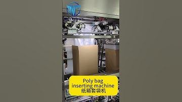 bag insertion machine,poly bag inserting machine,food packaging line coffee powder packaging machine